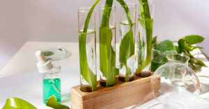 Dom bez chemii  – Czy to jest możliwe?